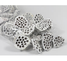 Uhr-Thermometer und Luftfeuchtigkeitsmesser braun 52x8x72cm