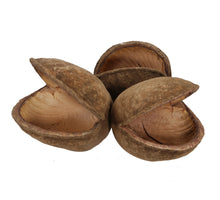 w/bs. 40 Stück Sonnenpilz/Draht 10cm natur