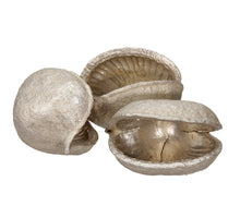 pb. Casurina natürlich 500 gr