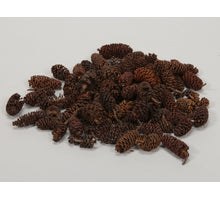 Tube a 1 gl baby bauble rabbit 2cls NL sortiert dia10cm