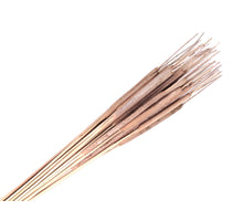 pb. 50 Stück Hogla (klein) White-wash 65-75cm