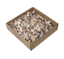 w/b. Pull Muttai Natur 620 gr.