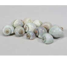 pb. kg Nattai Schalen l.grün 1kg