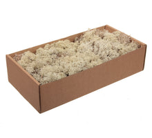 Islandmoos vorbereitet 0,5kg Natur