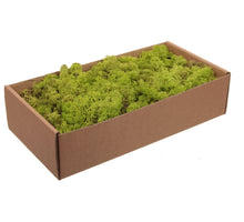 w/b. 500g. finnland moos hellgrün 500gr.