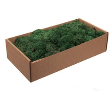 w/b. Finnland Moos moosgrün 500gr.