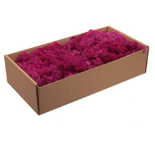 w/b. finnland moos fuchsie 500g.