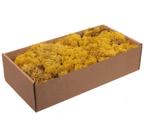 w/b. 500g. finnland moos gelb 500gr.