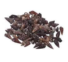 pb. Oori natürlich 500 gr.