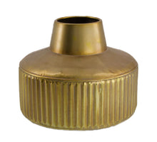 DF Lagurus Bs 100gr gebleicht