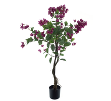Bougainvillea-Baum im Topf, lila, 120 cm