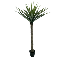 Yucca im Topf, grün, 180 cm