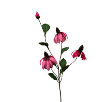 Rudbeckia Spray 83 cm rosa