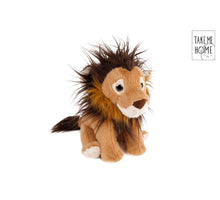 Yar Cym groß D-34 H-38 CM mit Kork