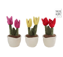 Take Me Home Tulpenpflanze Plüsch L 3er-Set 27cm