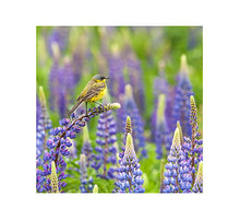 OUTDOOR LEINWAND 58X58CM LILA HAUS