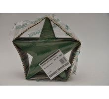 Bioline Stern 25 cm grün Packung mit 2 Stücken