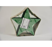 Bioline Stern 30 cm grün Packung mit 2 Stücken