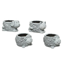 feathers 3ass natural 4gram