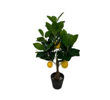 Zitronenbaum-Bonsai 50 cm gelb