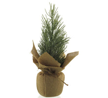 Kiefer mit Jutesack grün 38cm