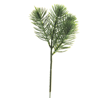 Kiefernholz-Plektren Edward Green 22cm