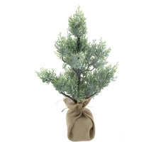 Zeder wild weihnachtsbaum Carly geeist 56cm