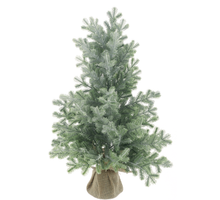 Tannenbaum im Topf Eltville, frostgrün, 45 cm