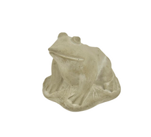 FROG/LEAF ZEMENTGRAU D12X9H