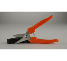 Hobbyfisch mit Haube