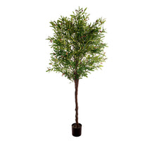 FICUS BENJAMIN SPRAY x 42LVS H56 CM GREEN
