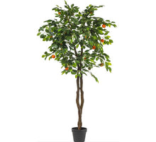 GETÖPFERTER CLEMENTINENBAUM H 180 CM GRÜN