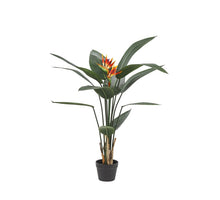 STRELITZIEN-TOPFPFLANZE H 120 CM