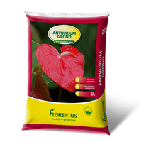 Clock Gear Ø46cm Copper