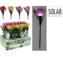 Gartenstecker Tulpe Solar 4 Farben sortiert D5 H30cm im Display