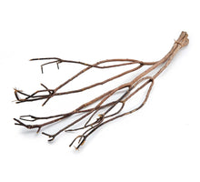 Drachenweide ±110cm natürlich 3Stück