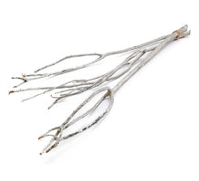 Drachenweide ±110cm gefrostet weiß 3St.