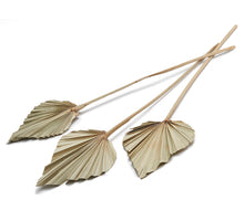 Palmspeer natur 10Stk