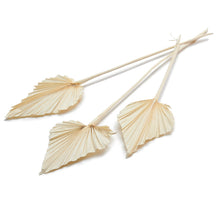 Palmspeer gebleicht 10St.