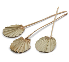 Palmspeer rund natur 10Stk