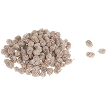 Casuarina ±2 cm weiß gefrostet 1 kg