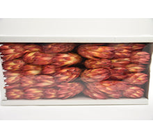 Repens Rot (50Stück)