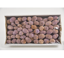 Muirii 10cm Wire Box Flieder-Waschung (100 Stück)