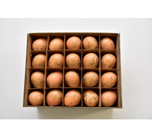 Schachtel mit 60 Wachteleiern Pastell orange