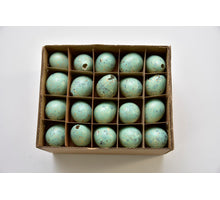 Schachtel mit 60 Wachteleiern Türkis