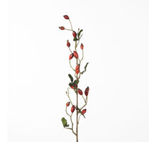 Rosehip Zaffiro Spray L84cm Rot