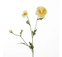 Ranunkel Butterfly L58cm Gelb