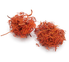 Florentus Kakteenerde 5 Liter