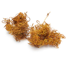 Florentus Orchideenerde 5 Liter