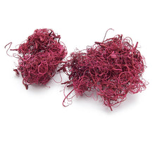 Florentus Hydro Körner 10L (Verbraucherverpackung)